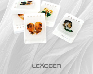 Lexogen 02 FFPE 400x400